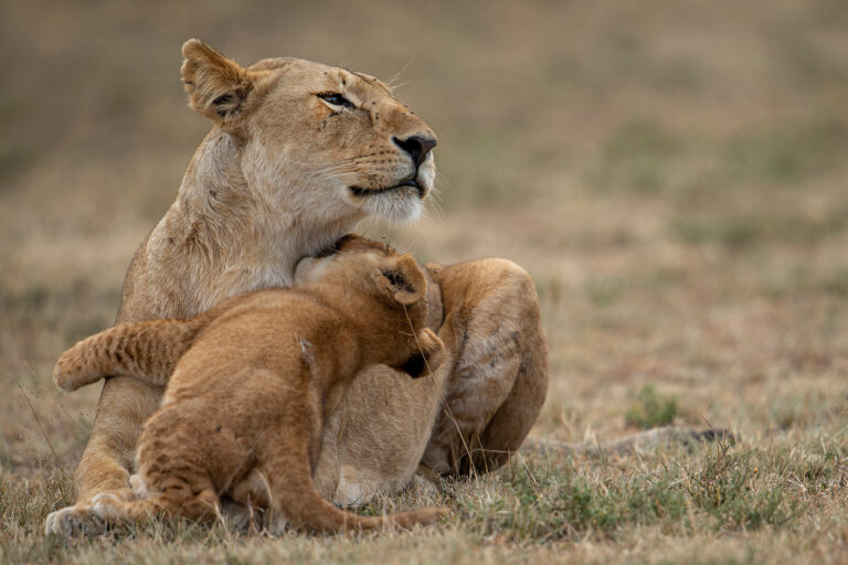 Cute_Hug